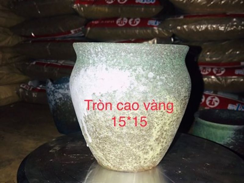 Chậu tròn cao vàng